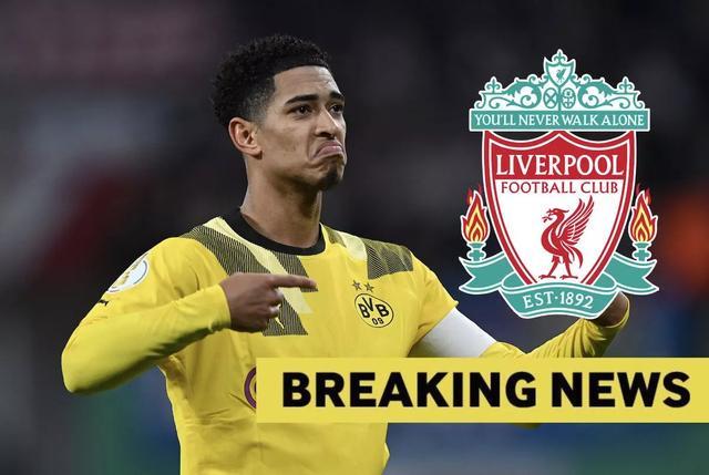 建议提