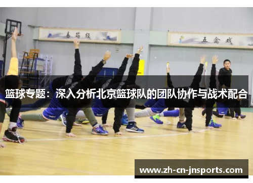 篮球专题：深入分析北京篮球队的团队协作与战术配合